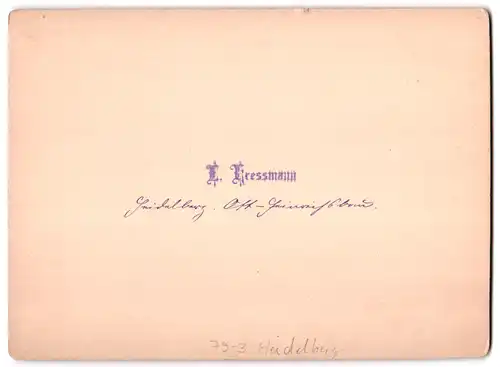 Fotografie E. Kressmann, Ort unbekannt, Ansicht Heidelberg, Otto Heinrichsbau