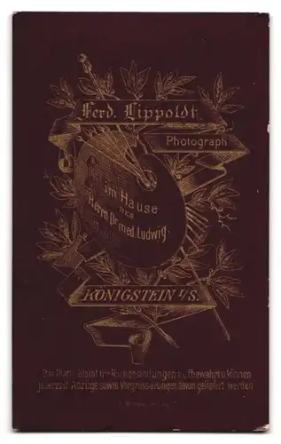 Fotografie Ferd. Lippoldt, Königstein i /S., Portrait hübsch gekleidete Dame mit einem Buch