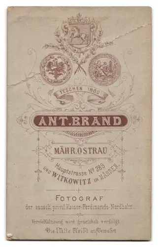 Fotografie Ant. Brand, Mähr. Ostrau, Hauptstr. 289, Portrait stattlicher Herr mit Brille und Vollbart