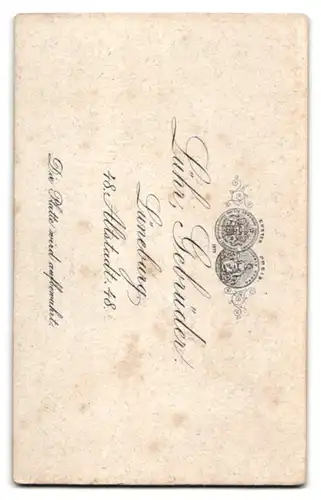 Fotografie Gebrüder Lühr, Lüneburg, Altstadt 48, Portrait schönes Fräulein im bestickten Kleid