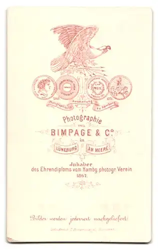 Fotografie H. Bimpage & Co., Lüneburg, Portrait junger Mann mit Schnurrbart und Fliege im Jackett