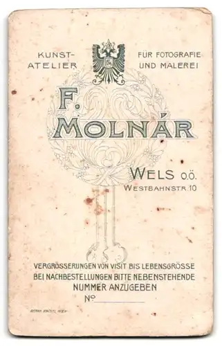 Fotografie F. Molnar, Wels, Westbahnstr. 10, Portrait Herr im Anzug mit Blumenhut und eingesteckten Zigarren