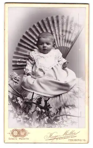 Fotografie Hugo Müller, Freiberg i. S., Fischer-Str. 29, Portrait Kleinkind im Kleid auf einem Fell vor einem Fächer