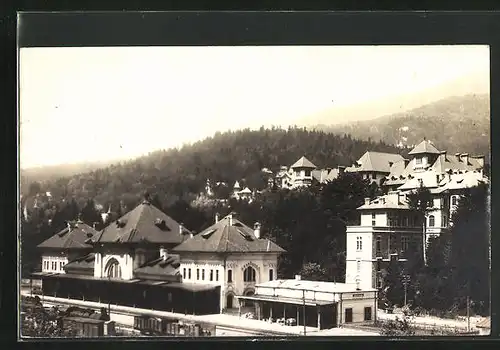 AK Sinaia, Vedere spre Gara, Teilansicht mit Bahnhof