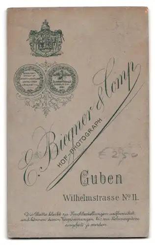 Fotografie E. Biegner & Comp., Guben, Wilhelmstrasse 11, Portrait süsses Kleinkind im weissen Hemd