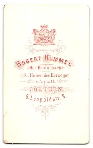 Fotografie Robert Hummel, Coethen, Brustportrait bürgerliche Dame mit Hochsteckfrisur