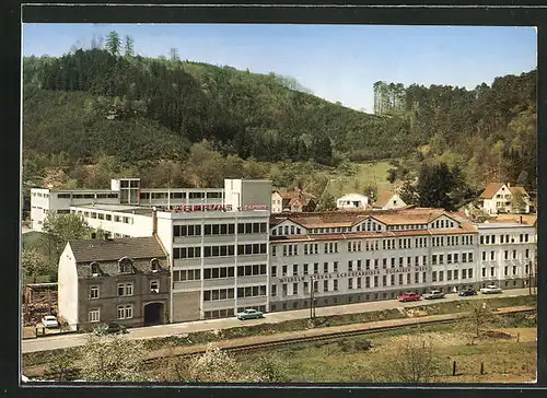 AK Rodalben / Pfalz, Schuhfabrik Servas aus der Vogelschau