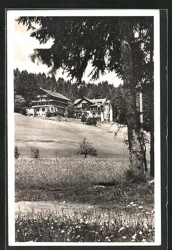 AK Freudenstadt, Waldhotel und Cafe Stokinger