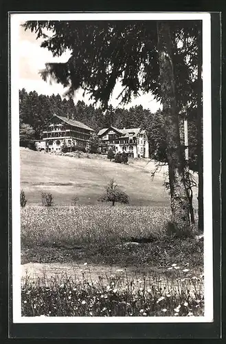 AK Freudenstadt, Waldhotel und Cafe Stokinger im Sommer