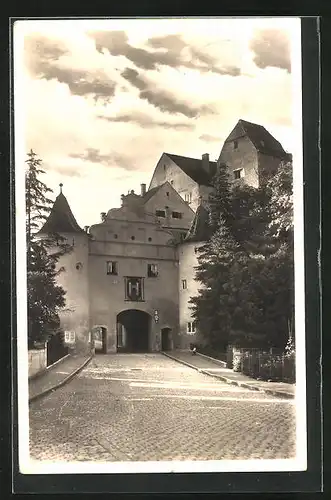 AK Neuburg a. D., Strassenblick durchs Stadttor