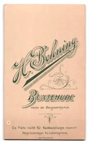 Fotografie H. Behning, Buxtehude, Portrait junge Dame im eleganten Kleid