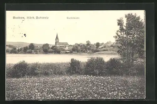 AK Buckow /Märkische Schweiz, Blick auf den Ort über den Buckowsee