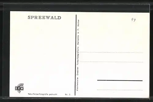 AK Spreewälderinnen in Tracht auf einem Fliesse