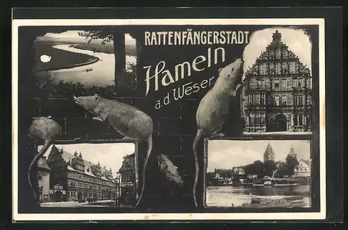 AK Hameln, Rattenfängerhaus, Weserpartie
