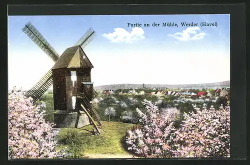 AK Werder /Havel, Partie an der Windmühle mit Baumblüte
