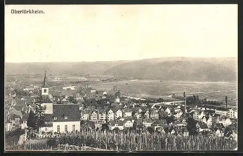 AK Obertürkheim, Ortsansicht vom Weinberg aus