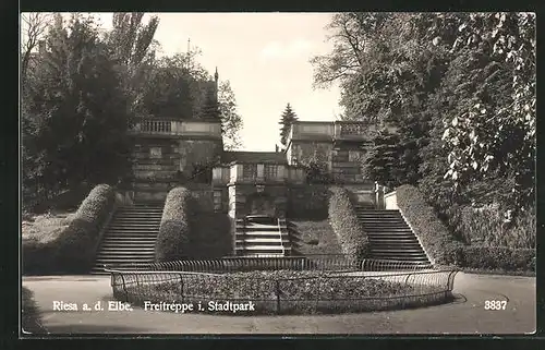 AK Riesa a. E., Freitreppe im Stadtpark