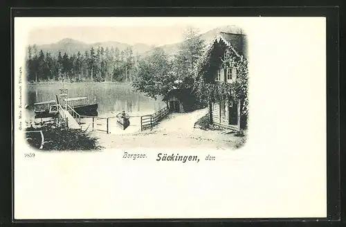 AK Säckingen, Bergsee mit Boot