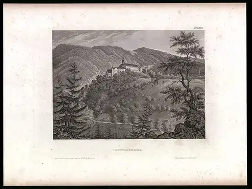 Stahlstich Schwarzburg, Schloss umgeben von Wald, aus Kunstanstalt des Bibl. Inst. Hildburghausen um 1850, 19 x 24cm