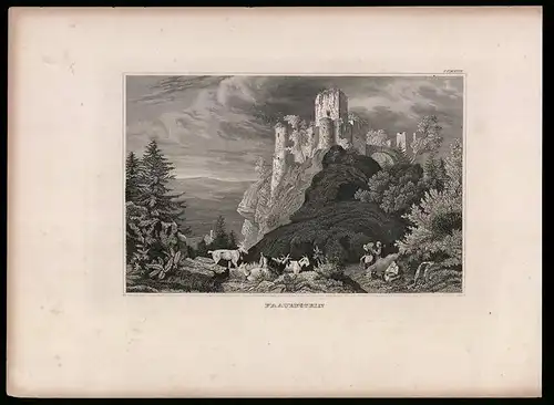 Stahlstich Frauenstein, Ziegen vor Ruine, Stahlstich um 1880, 19 x 25cm