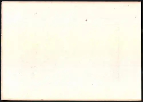 Stahlstich St. Goarshausen, Loreleyfelsen im Mondschein, altkolorierter Stahlstich um 1880, 23 x 32cm