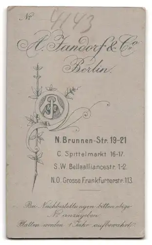 Fotografie A. Jandorf & Co., Berlin, Brunnenstr. 19-21, Portrait bildschönes Fräulein mit Dutt