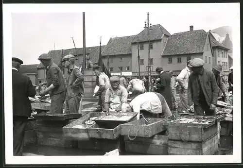 8 Fotografien Bergen, Ansicht Bergen, Fridtjof Nansen-Denkmal, Balholm, Bergbahn Eingang Fischmarkt, Fantoft Stavekirche