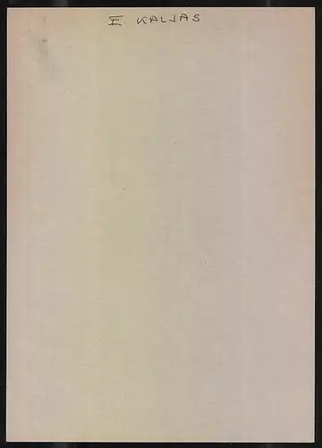 Exlibris Zindida Tamm, Hund springt auf einem Buch herum