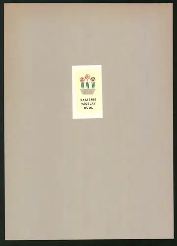 Exlibris Vasclav Rudl, Blumen in einer Vase