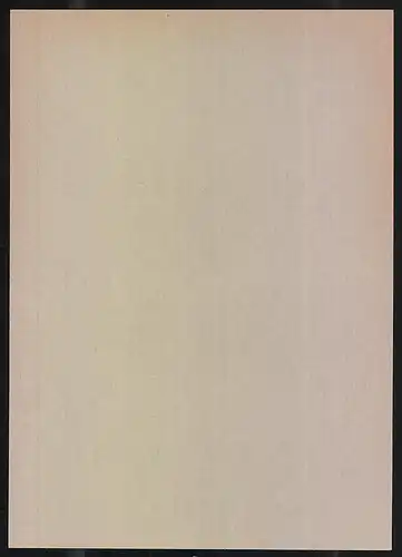 Exlibris Vasclav Rudl, Blumen in einer Vase