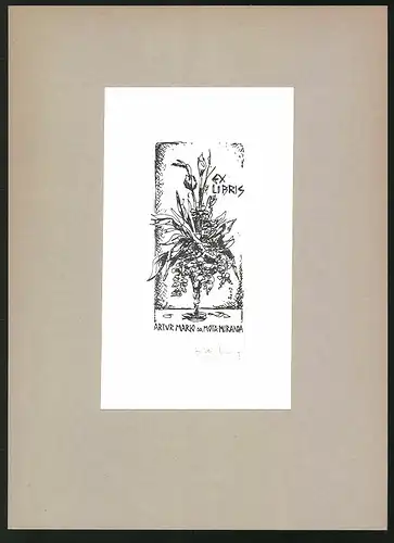 Exlibris Atur Mario da Mota-Miranda, Strauss steht in einer Vase
