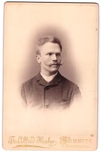 Fotografie Th. Alfred Hahn, Sebnitz, Pfarrgarten, Portrait modisch gekleideter Herr mit Schnauzbart