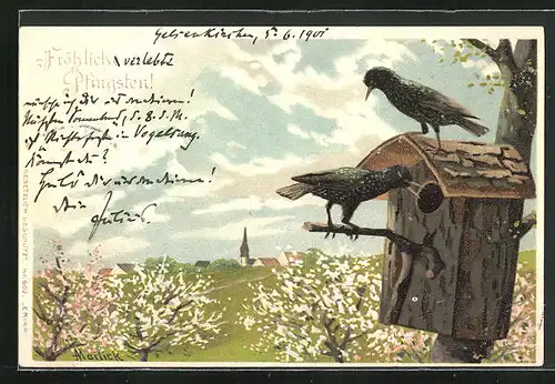 Künstler-AK Alfred Mailick: Zwei Vögel am Vogelhaus, Im Hintergrund Kirche, Pfingstgruss