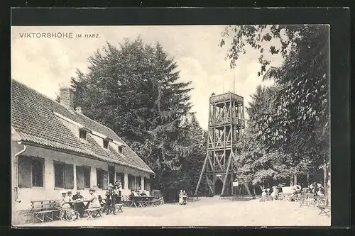 AK Viktorshöhe im Harz, Gasthaus und Aussichtsturm