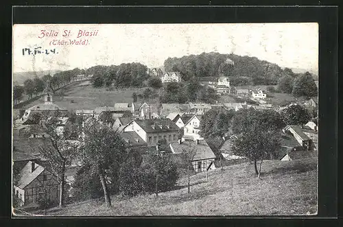 AK Zella St. Blasii /Thür. Wald, Teilansicht