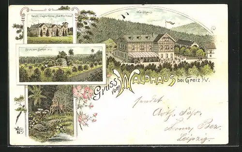 Lithographie Greiz i. V., Gasthof Waldhaus, Fürstl. Jagdschloss Ida-Waldhaus