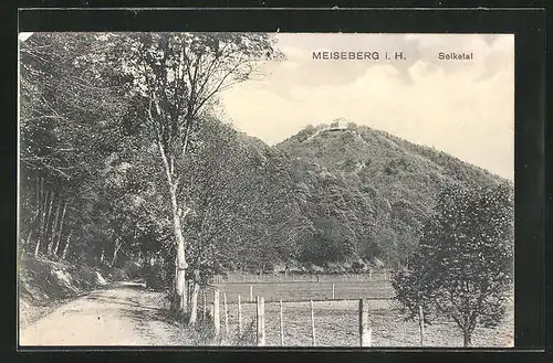 AK Meiseberg i. H., Strassenpartie im Selketal