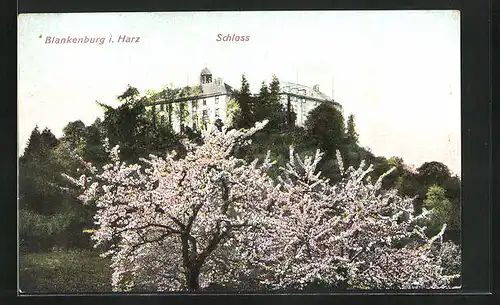 AK Blankenburg /Harz, Schloss im Frühling