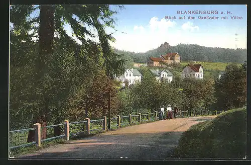 AK Blankenburg /Harz, Blick auf den Grossvater mit Villen