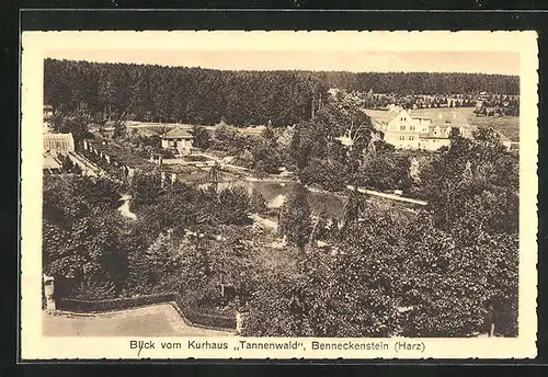 AK Benneckenstein /Harz, Blick vom Kurhaus Tannenwald