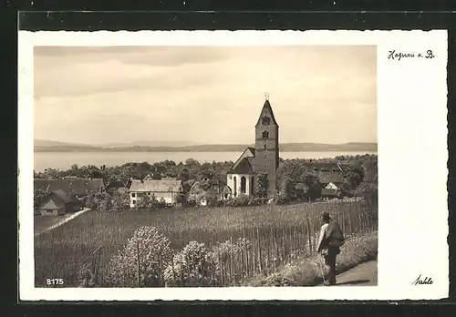 AK Hagnau am Bodensee, Blick von einer Anhöhe zum Ort