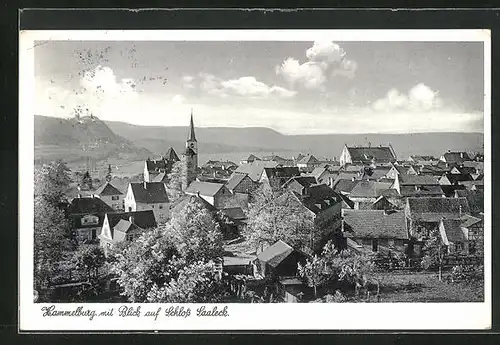 AK Hammelburg, Ortsansicht, Blick auf Schloss Saaleck