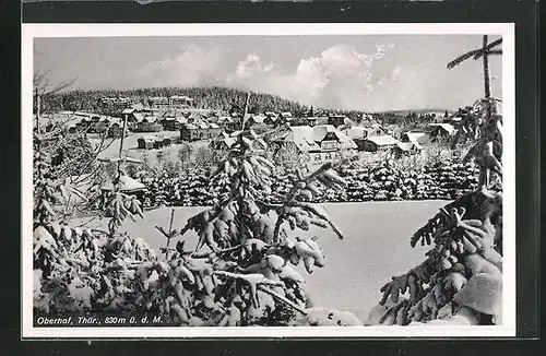 AK Oberhof / Thür., Ortsansicht im Winter