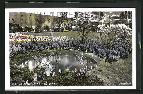 AK Berlin, Ausstellung Grüne Woche 1957, Gartenbau