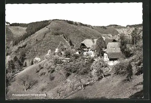 AK Offenburg im Schwarzwald, Privatpension Hölzlesberg, am hang gelegen