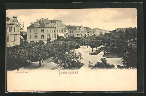 AK Franzensbad, Villen an der Culmerstrasse