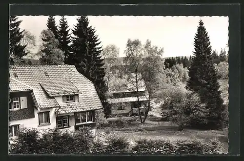 AK Hinterzarten im Schwarzwald, am Haus von Nauendorf