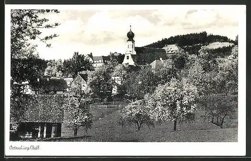AK Ortenburg Ndb., Blick von den Wiesen zur evangelischen Kirche und Mädchenmittelschule