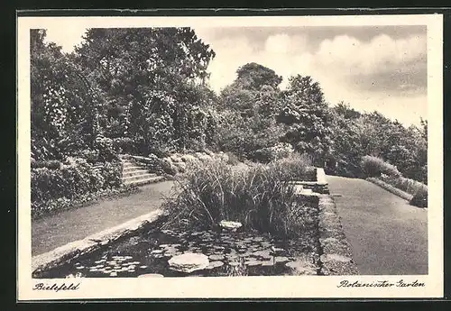 AK Bielefeld, im Botanischen Garten