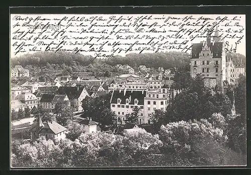 AK Sigmaringen, Blick auf die Stadt und das Schloss